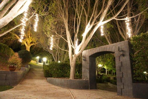 The Enchanted Forest