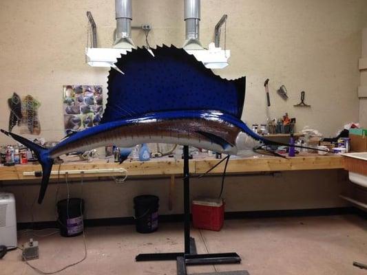 Bloomfield's Taxidermy and Tannery