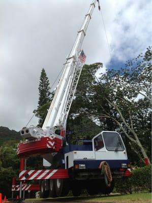 Using our (60) ton crane to remove a large Albizzia tree.