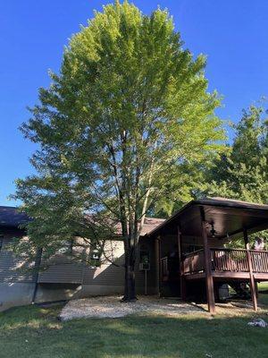 J&E Tree and Excavation Services