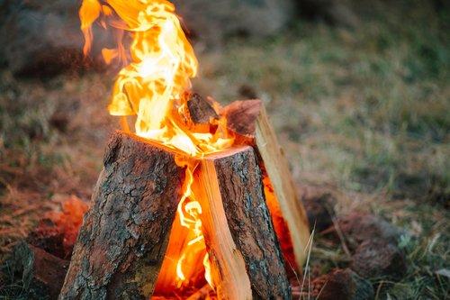 #doubledstreeservice #Ilovedoubleds #davidbrizzi