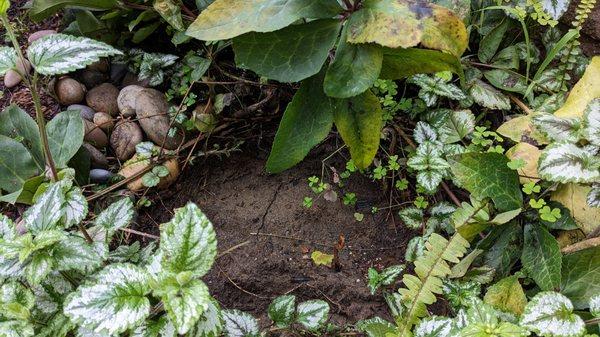 Gabriella Fracchia - San Francisco Real Estate