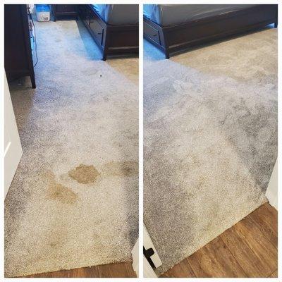 Dunne Right Cleaners