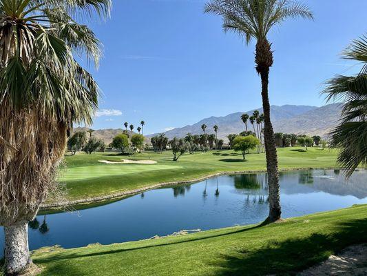 Indian Canyons Golf Resort
