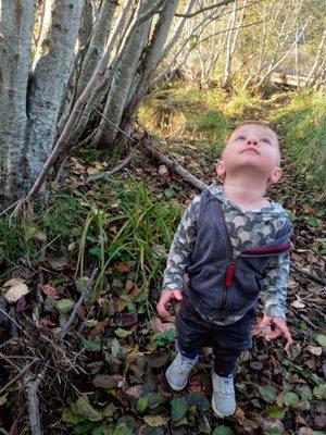 Deep Roots Life School