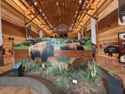 bison center