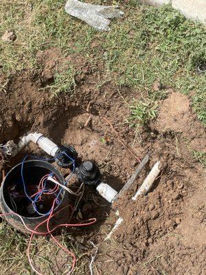 Dennis Trees service