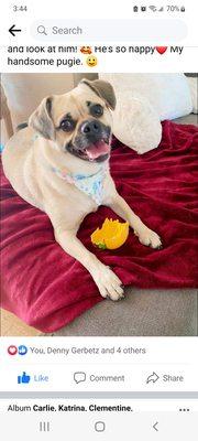 Our dog loves this place. they wash him and clean his teeth and cut his nails. Really reasonable too