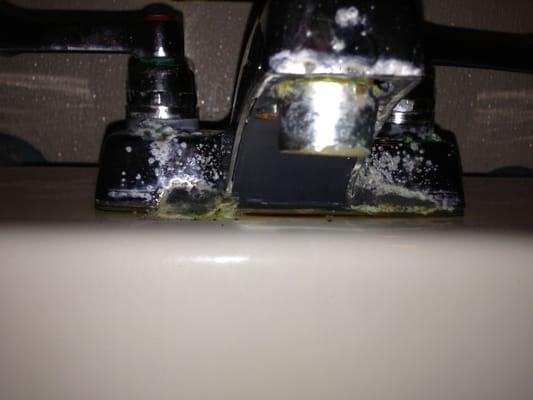 This place is filthy. That's mold in the ladies bathroom. When I let an employee know she said, "oh okay" and rolled her eyes