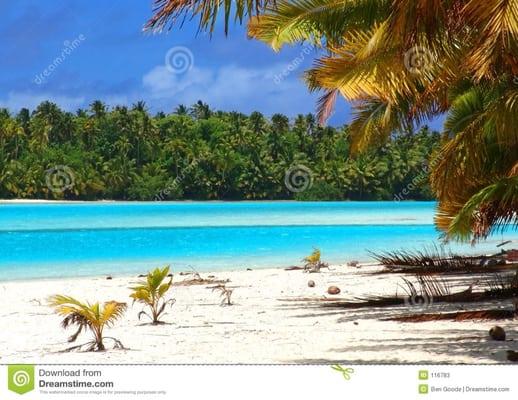 Same view today since it didn't snow last night, enjoy your day! I know I will!