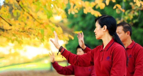 Bodhi Meditation Center