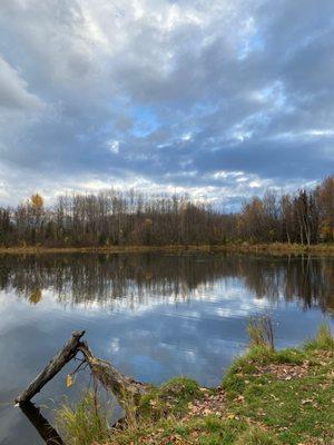 Foxwood Condominiums