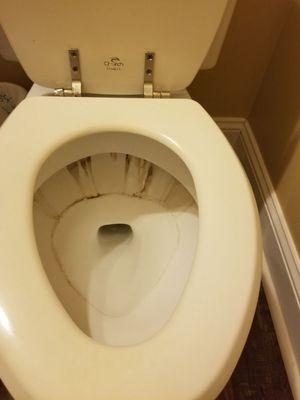 OCD Cleaning and Organizing