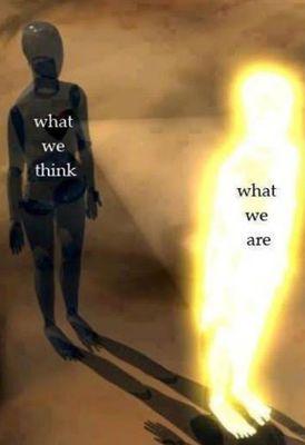 Holistic Wellness Partners