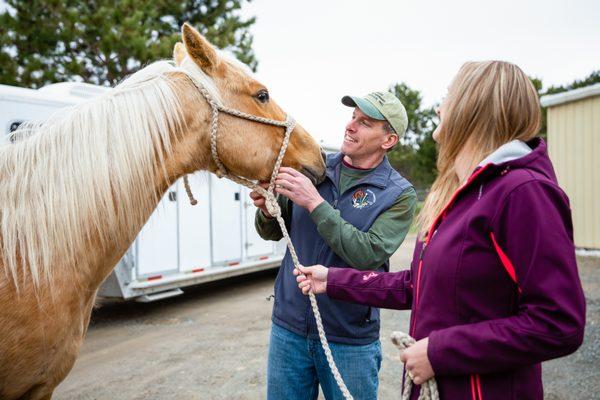Athens Veterinary Service
