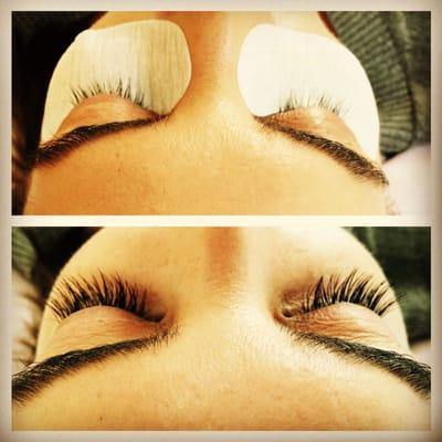Whiplash Eyelash Extensions