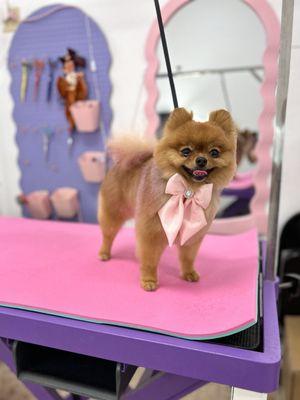 They do a little photo shoot and even sell these gorgeous handmade bows!!