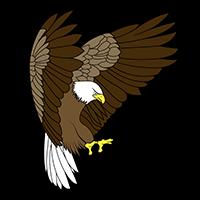 Desert Eagle Security