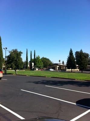 Christ the King Catholic School