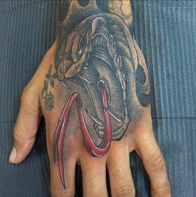 Venom hand piece