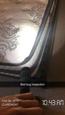 Payless Pest Control