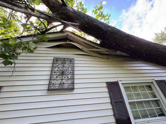 Airbourne Tree Service