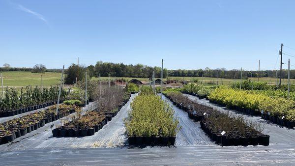 Verona Caney Gardens & Landscaping