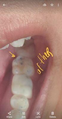 UNLV School of Dental Medicine