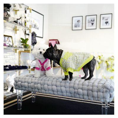 Tweed Cardigans for dogs