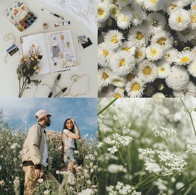 Heart in Hand Healing Arts