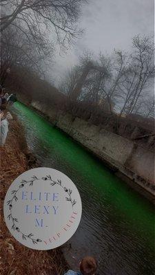 They cleaned up the homeless encampment and got rid of graffiti for St. Paddy's river dye festival