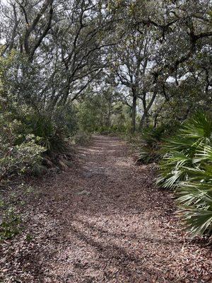 Bear Pond Trailhead