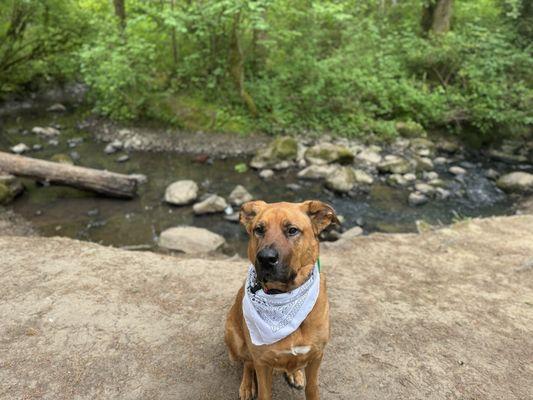 Lowami Hart Woods Natural Area