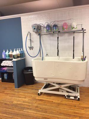 This is our electric tub. It lowers for the biggest of dogs.