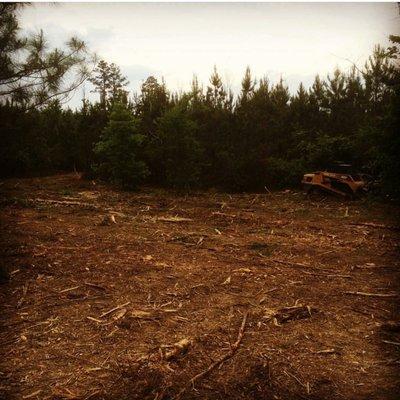 Silver Leaf Construction LLC