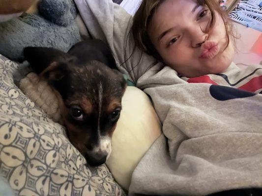 Animal Emergency Center