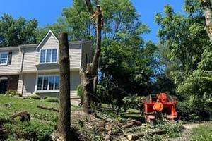 Four Season Tree Services