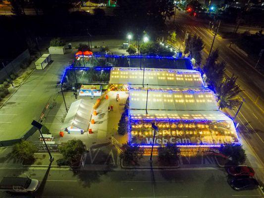 Santa & Sons Christmas Trees