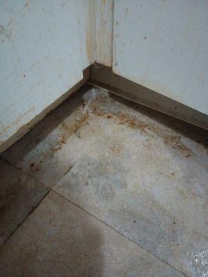 Tiny but Mighty Housekeeping