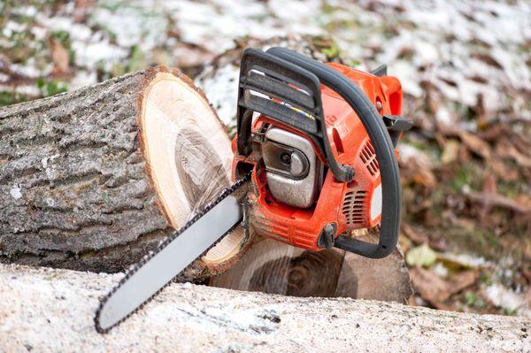 Knock Out Stump Grinding