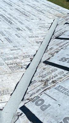 Canopy Roofing & Home Services