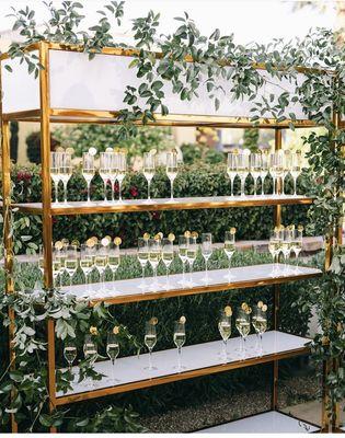 Dolce’ Nuvo Professional Event Bartenders and Staff