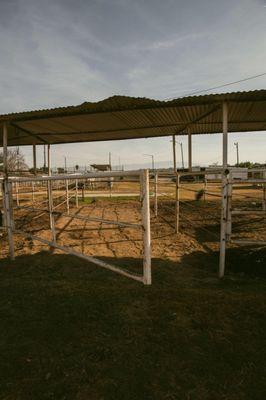 Terreno Fino Stables