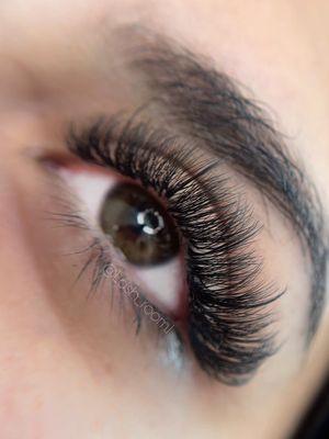Bloom Lashes