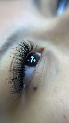 Lash extensions