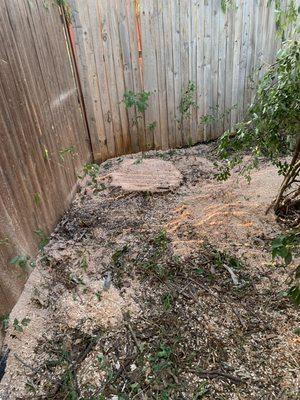 Jose’s Tree Service