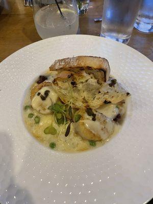 Trovato at Hidden River