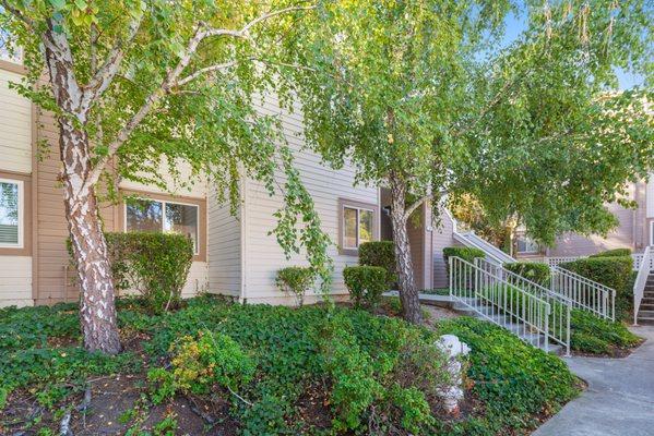 Lovely condominium in Hercules