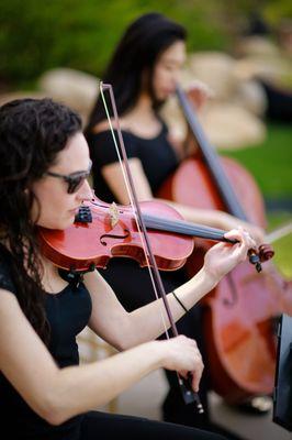 Organic String Quartet