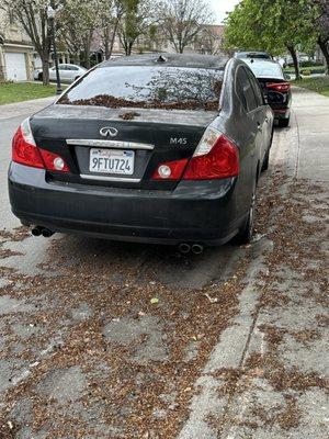 Natomas Park Master Association